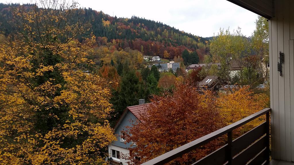 Bergblick Ferienwohnung Schwarzwald Бад Вилдбад Стая снимка