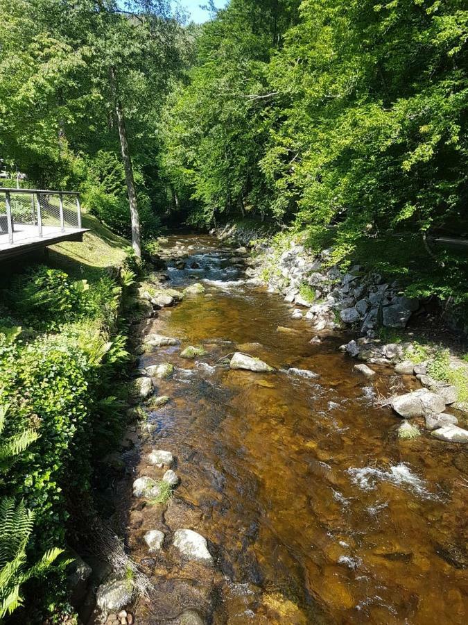 Bergblick Ferienwohnung Schwarzwald Бад Вилдбад Екстериор снимка